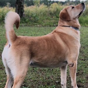 Meet your Posher, Dalton